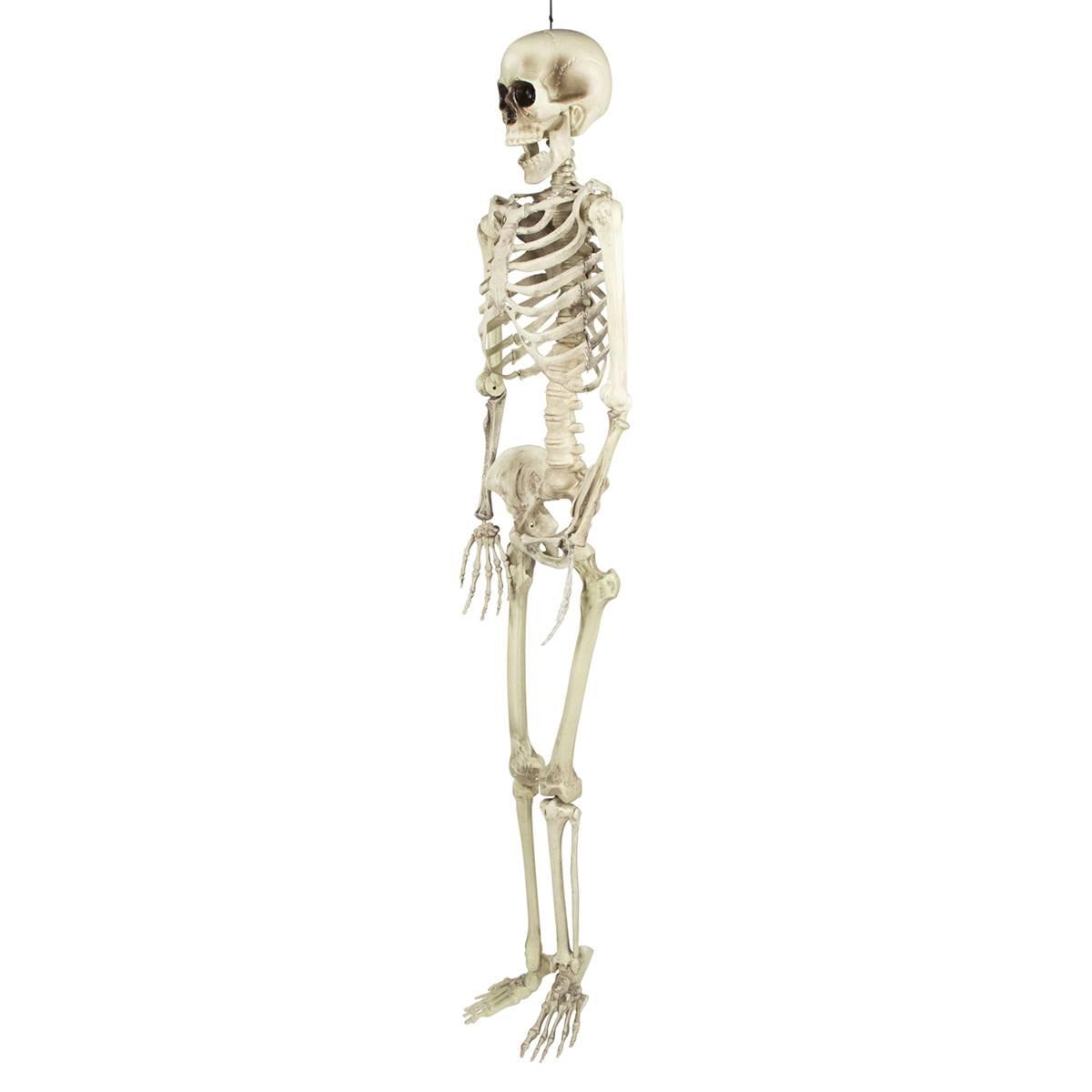 Northlight Seasonal 5ft. Life Size Skeleton Halloween Decoration