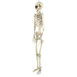 Northlight Seasonal 5ft. Life Size Skeleton Halloween Decoration