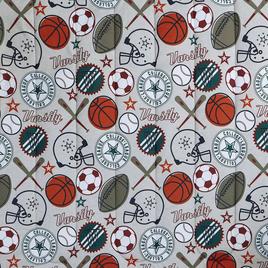 Alex &amp; Bella League Sports Microfiber Comforter Bedding Set