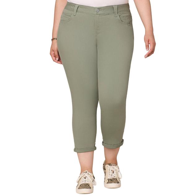 Plus Size Democracy "Ab"solution® Ankle Capris