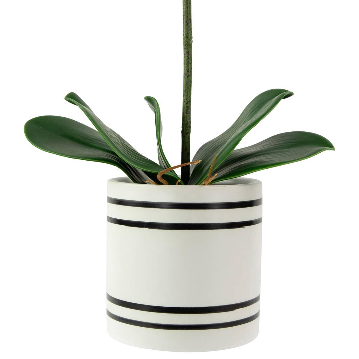 Northlight Seasonal Real Touch™ Artificial Orchids Potted Plant