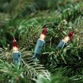 Northlight 20.25ft. Mini Clear with Red Tips Christmas Light Set