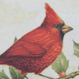 Northlight Seasonal Cardinal Christmas Garden Flag