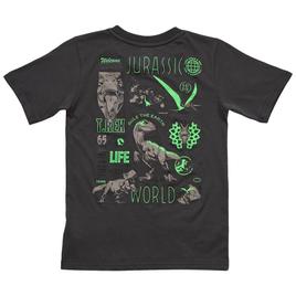 Boys (4-7) Jurassic World Short Sleeve Tee - Dark Grey
