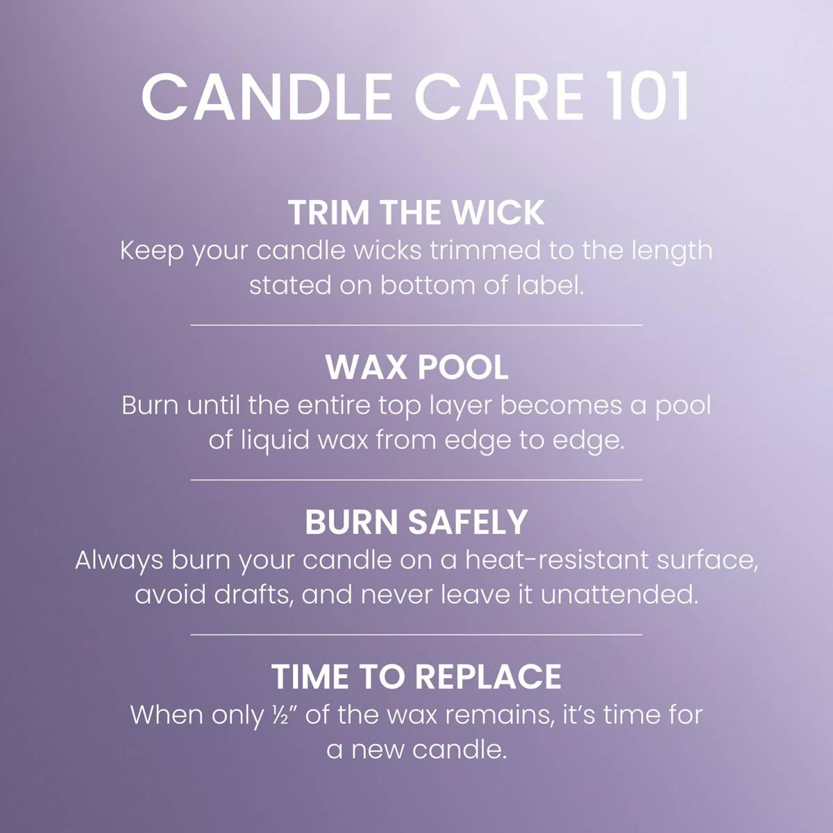 Yankee Candle® 20oz Signature 2-Wick Lilac Blossom™Tumbler Candle