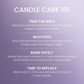 Yankee Candle® 20oz Signature 2-Wick Lilac Blossom™Tumbler Candle