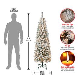 National Tree 6ft. Acacia Pencil Slim Flocked Christmas Tree