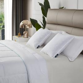 Serta® Medium Firm 233TC 2pk. Decorative Feather Pillow
