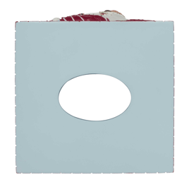 Avanti Holiday Cheer Tissue Cover