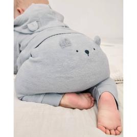 Baby Boy (3-12M) Carter''s Ib Bear Design 3 Pc Set