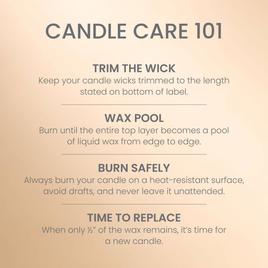 Yankee Candle® 20oz. Vanilla Creme Brulee Large Tumbler Candle