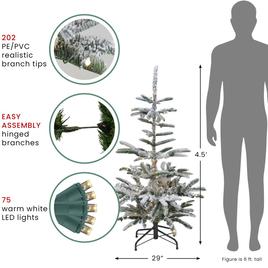 Northlight Seasonal 4.5ft. Nordmann Fir Artificial Christmas Tree