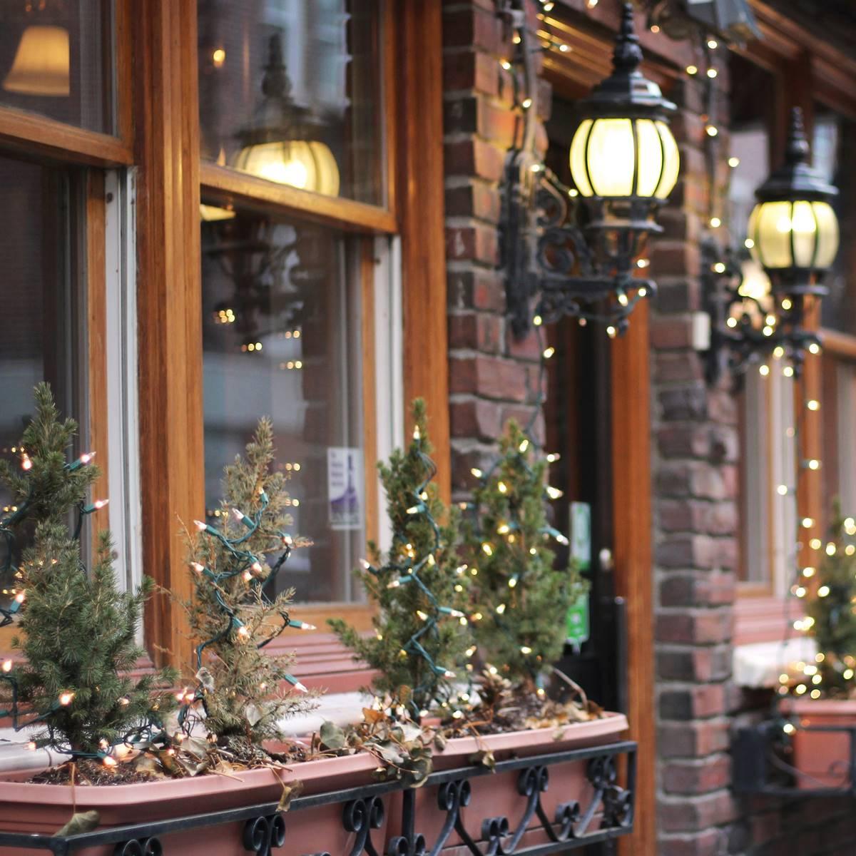 Northlight Seasonal 100 Warm White LED Mini Christmas Lights