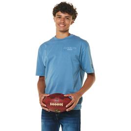 Young Mens SOUTHPOLE(R) Establish Relaxed Fit Tee
