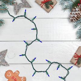 Northlight Seasonal 10ft. Blue Mini Christmas Light Set