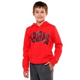 Boys (8-20) adidas(R) Graphic Pullover Hoodie - Red