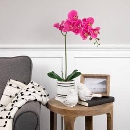 Northlight Seasonal Real Touch™ Artificial Orchids Potted Plant