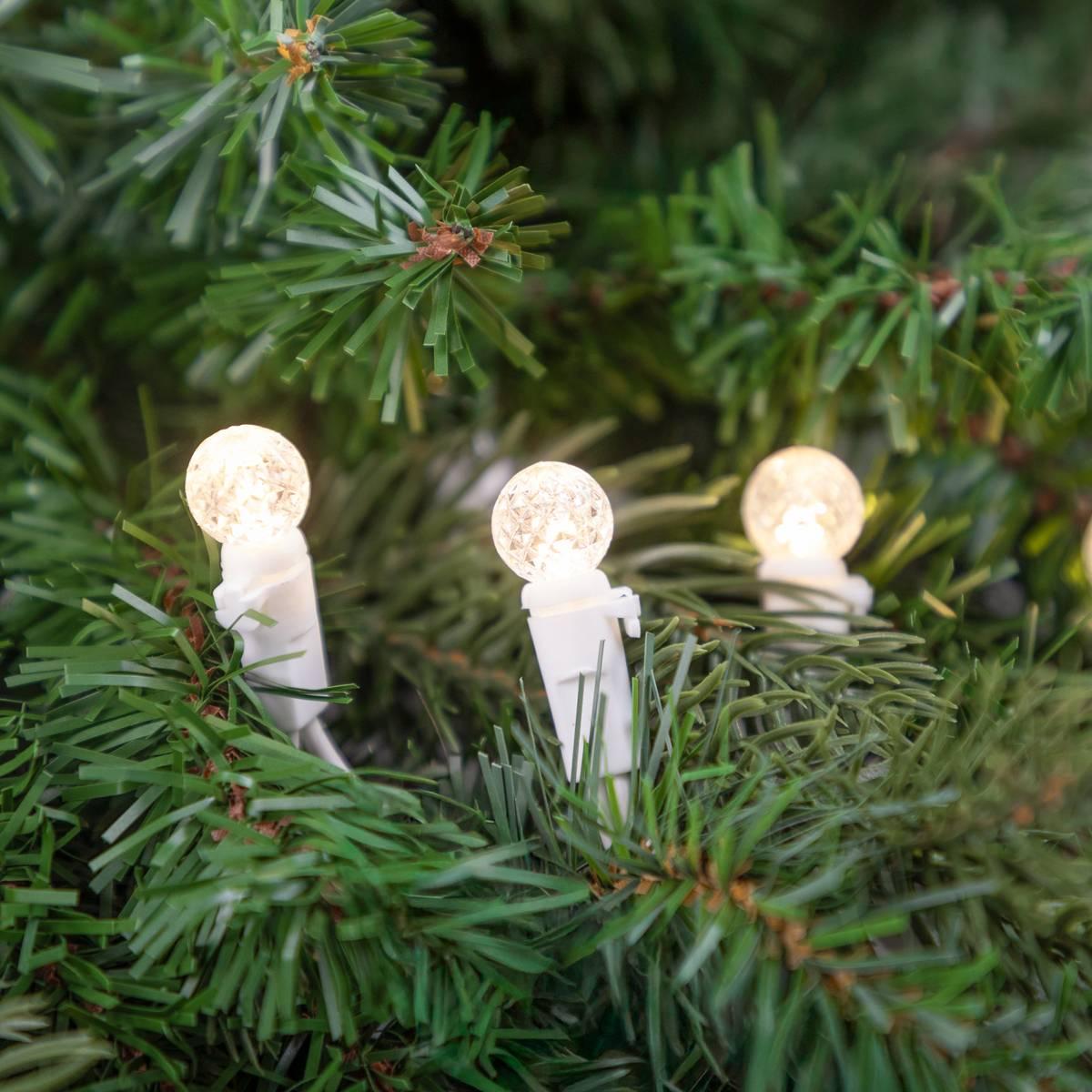 Northlight Seasonal 50ct. G12 Berry Mini Christmas Lights