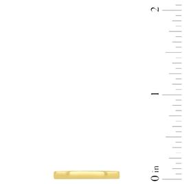 Mens Endless Affection™ Gold Vermeil Polished 2mm Band