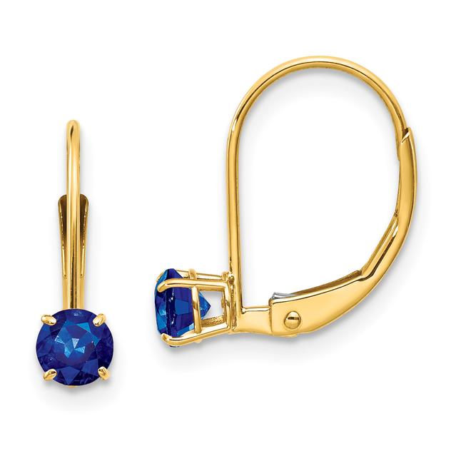 Gemstone Classics™ 14kt. Gold Sapphire Drop Earrings