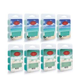 Candle Warmers Etc. Escape to Paradise &amp; Ocean Tide Wax Melts