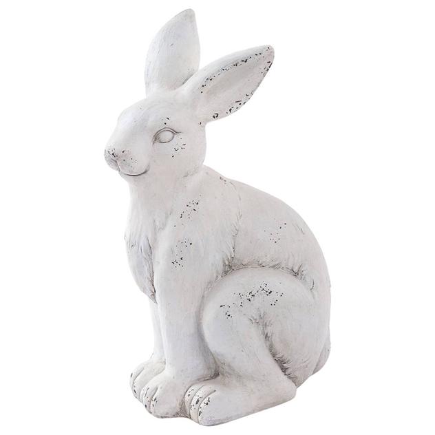 Large White Rabbit