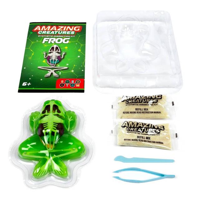 World Tech Toys Amazing Creatures Frog Synthetic Dissection Kit