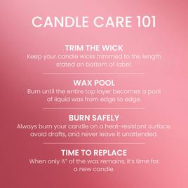 Yankee Candle® Iced Berry Lemonade 2-Wick Large Tumbler Candle
