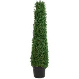 Northlight Seasonal 4ft. Pre-Lit Artificial Boxwood Topiary Tree