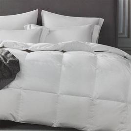 Hotel Suite All Seasons Down Comforter