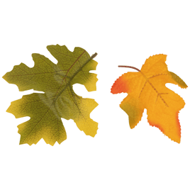 Northlight Fall Harvest 11pc. Acorns & Maple Leaves Decor Set