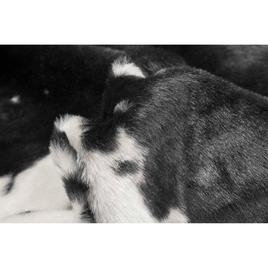 9th & Pike® Black & White Faux Cowhide Area Rug