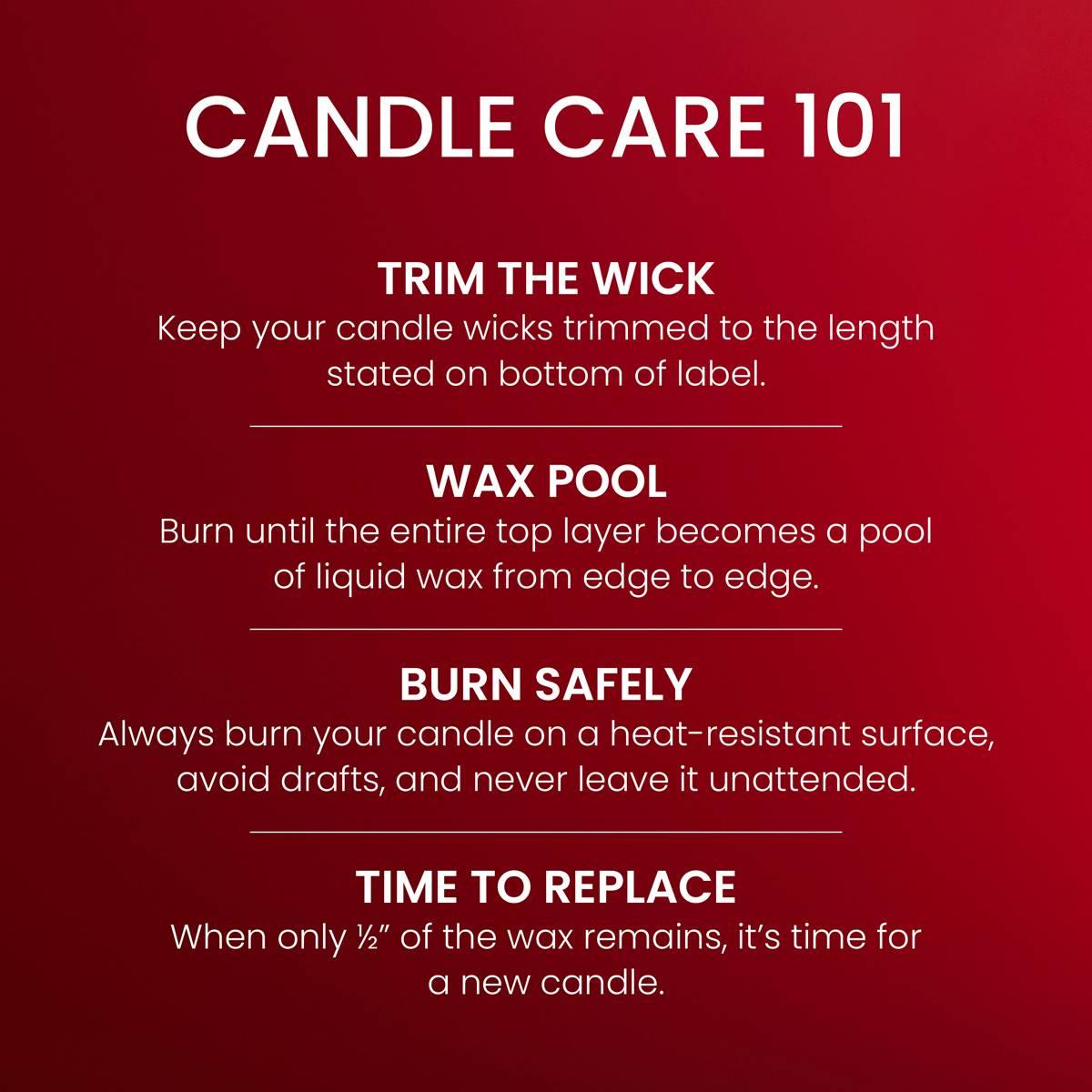 Yankee Candle® 14.25oz. Macintosh Pillar Candle