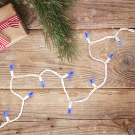 Northlight 100ct. LED Mini Christmas Lights