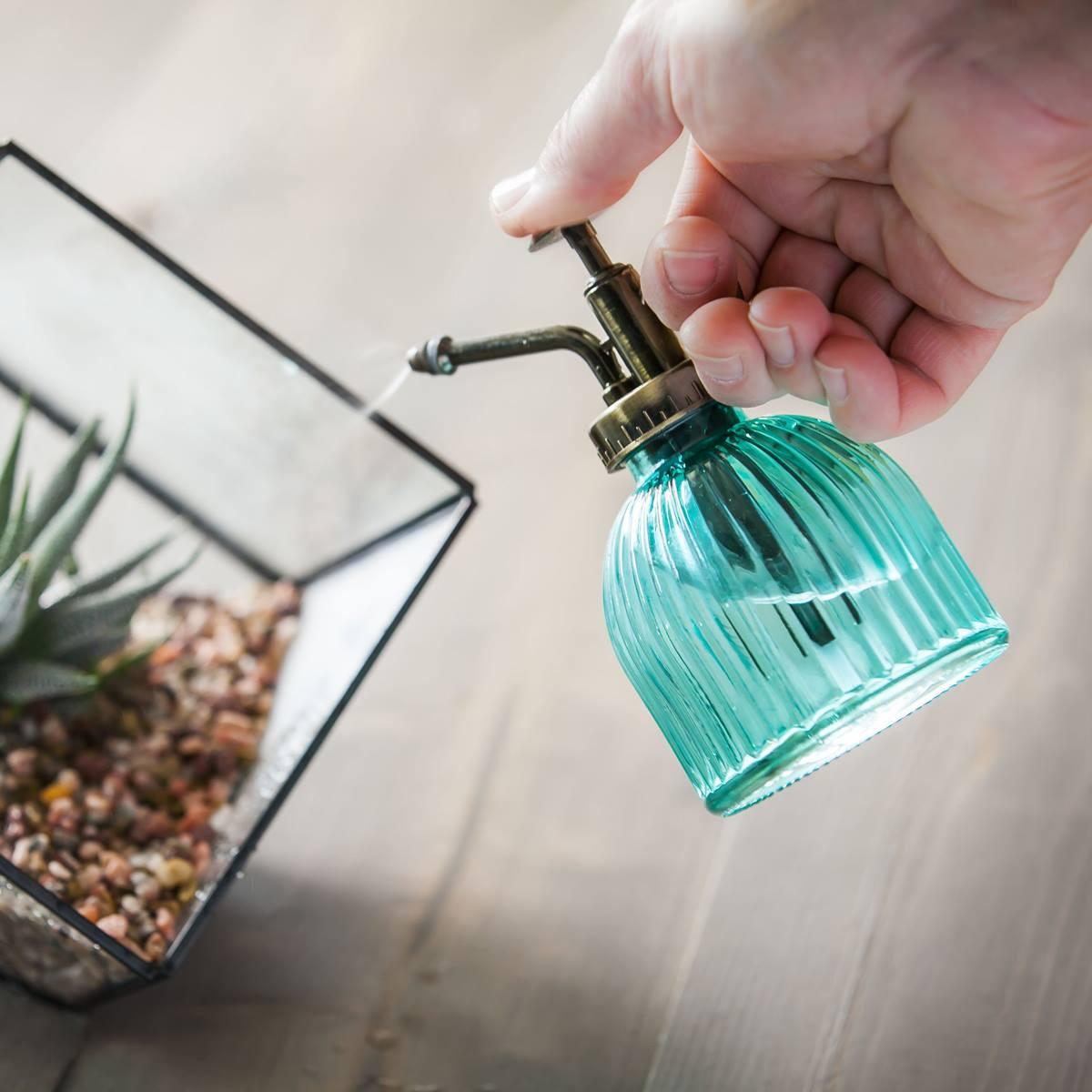Evergreen Decorative Plant Mister