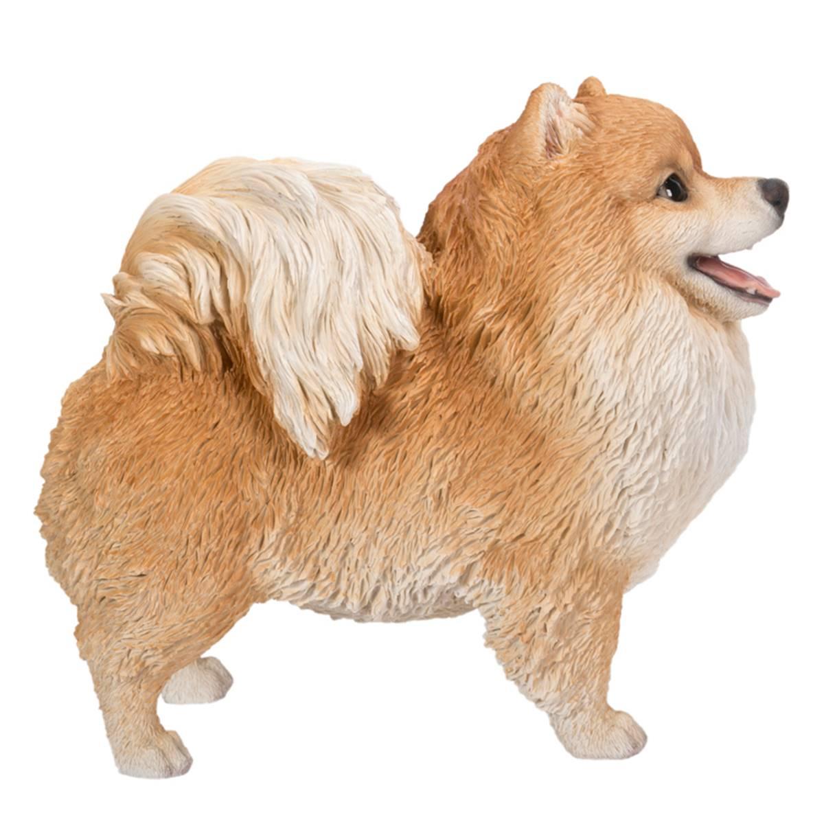 Hi-Line Gift Medium Standing Pomeranian Garden Statue