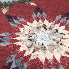 Donna Sharp Your Lifestyle Southern Star 3pc. Quilt Set