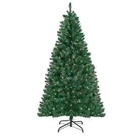 National Tree 6ft. Acacia Pre-Lit Christmas Tree
