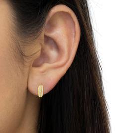 Haus of Brilliance 10kt. Gold 3/4ctw. Diamond Hoop Earrings