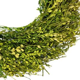 Northlight Seasonal 20in. Artificial Green Foliage Spring Wreath