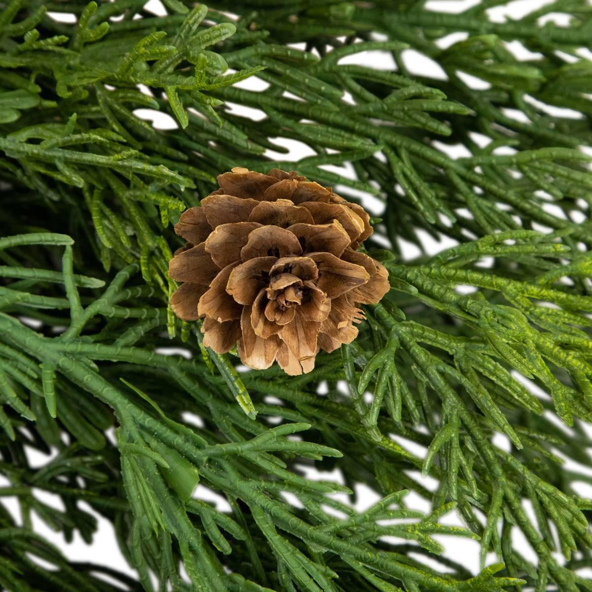 Northlight Seasonal 24in. Cedar Artificial Christmas Wreath