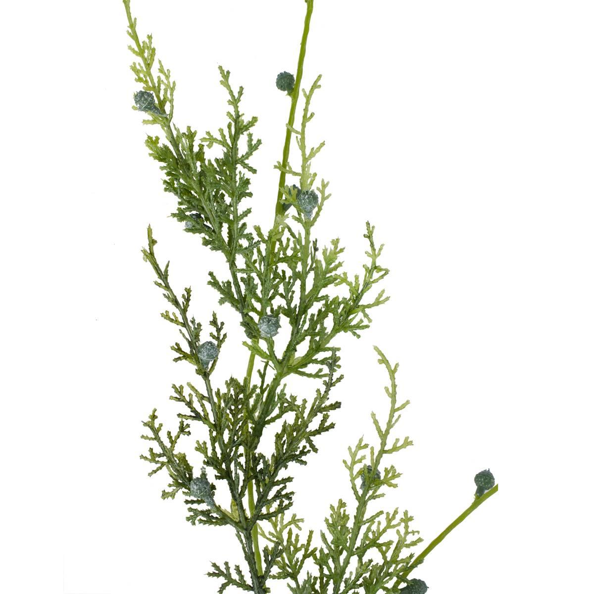 Northlight Seasonal Cypress Hanging Artificial Christmas Spray