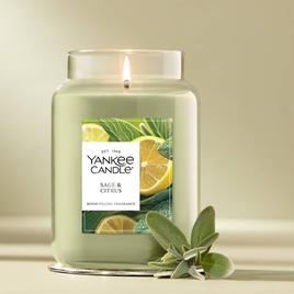 Yankee Candle(R) 22oz. Sage & Citrus Jar Candle