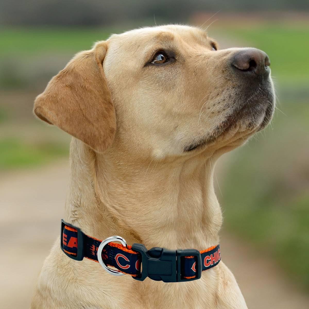 NFL Chicago Bears Dog Collar