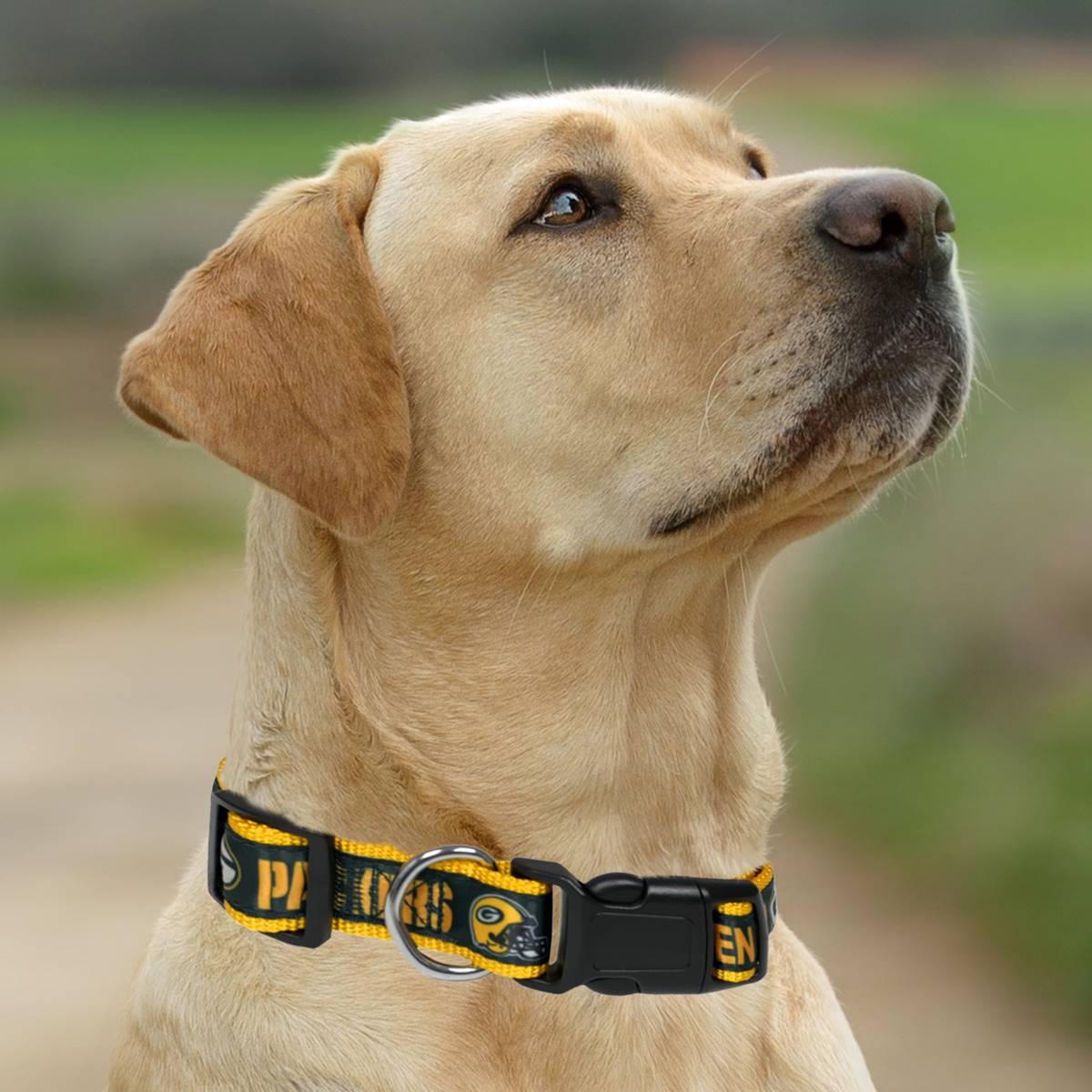 NFL Green Bay Packers Dog Collar