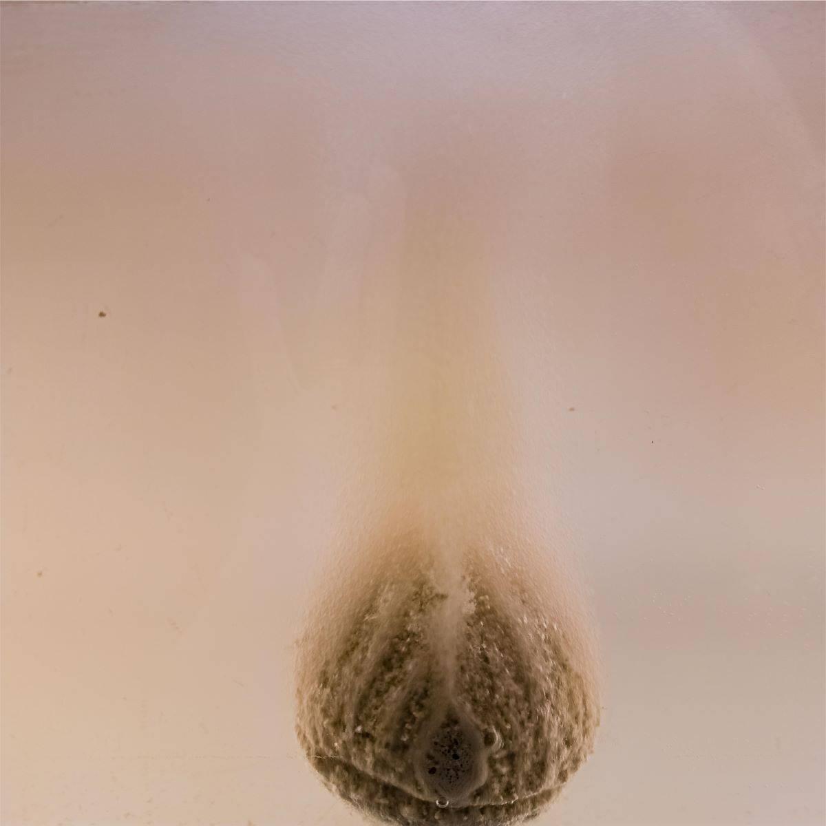 Cosset Tahitian Vanilla Sensual Bubble Bath Therapy Bomb®