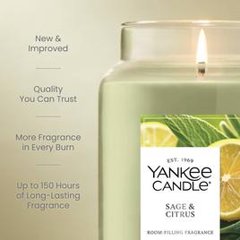 Yankee Candle® 22oz. Sage & Citrus Jar Candle