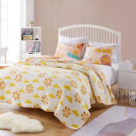 Greenland Home Fashions™ Cassidy Reversible Quilt Set
