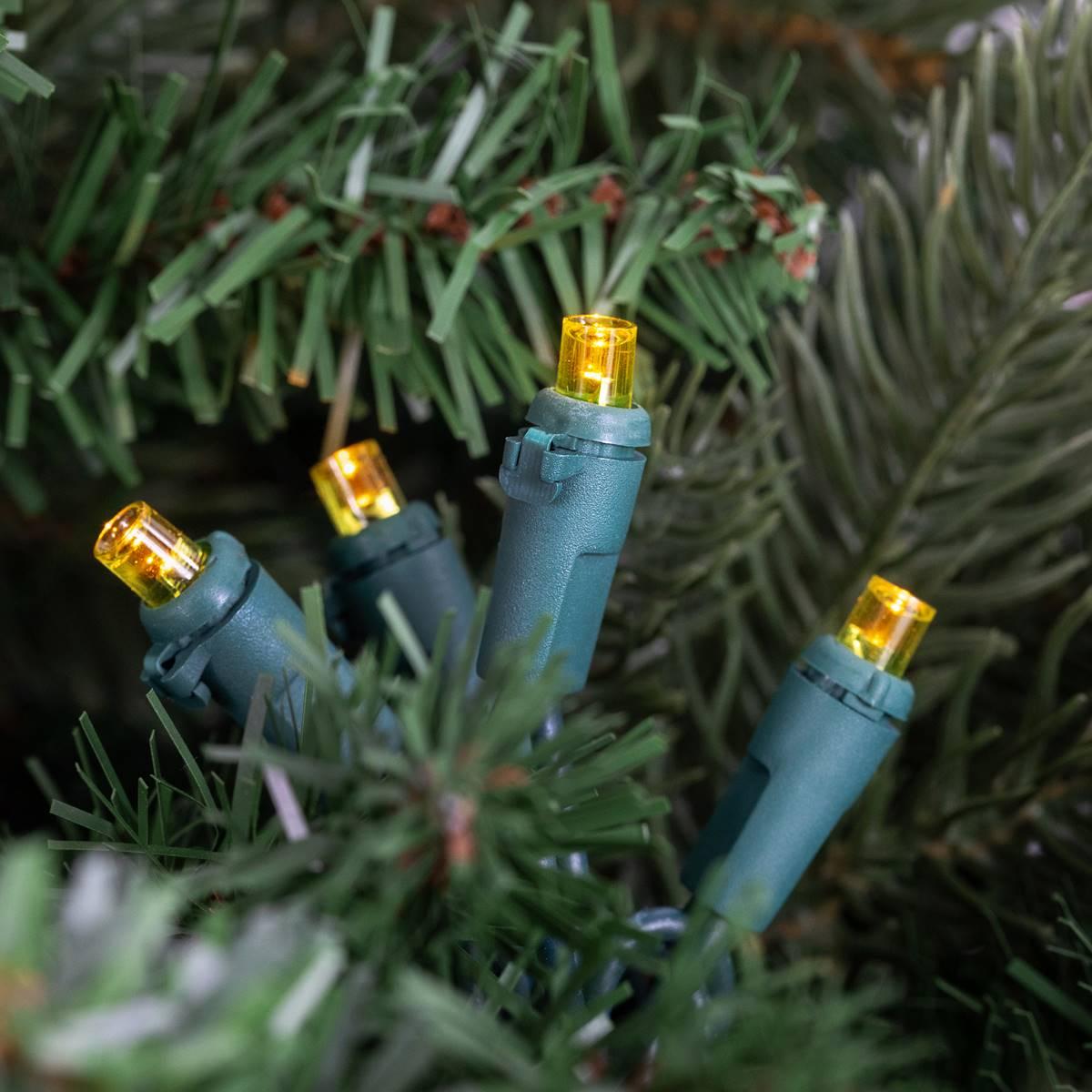 Northlight Seasonal 100ct. LED Green Wire Yellow Christmas Lights