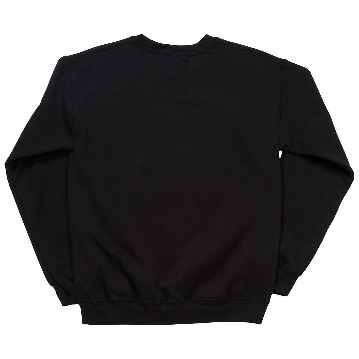 Mens Tailgate Philadelphia Fly Field Crew Neck Sweatshirt